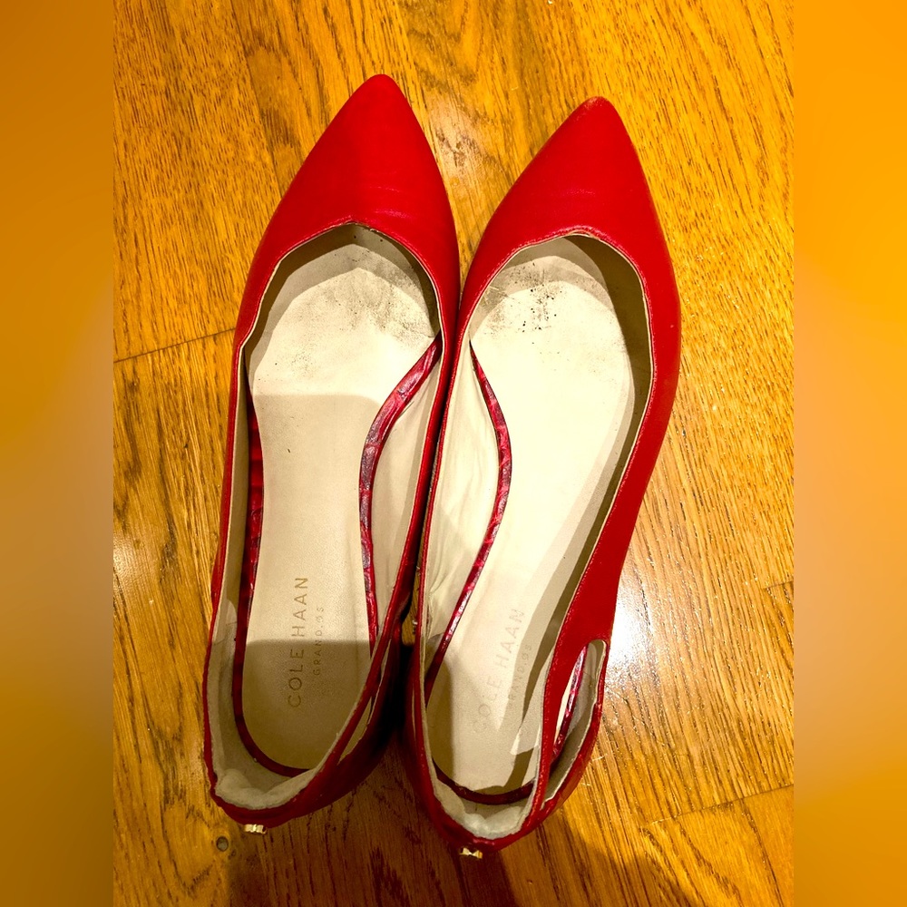 Cole Haan ballerinas with pointed toe